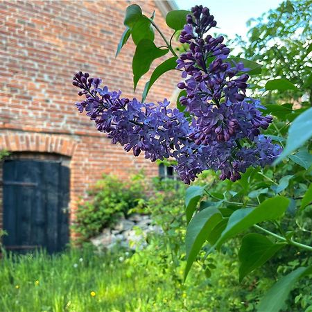 Alte Baeckerei Gnade Auf Ruegen Sehlen Exterior foto