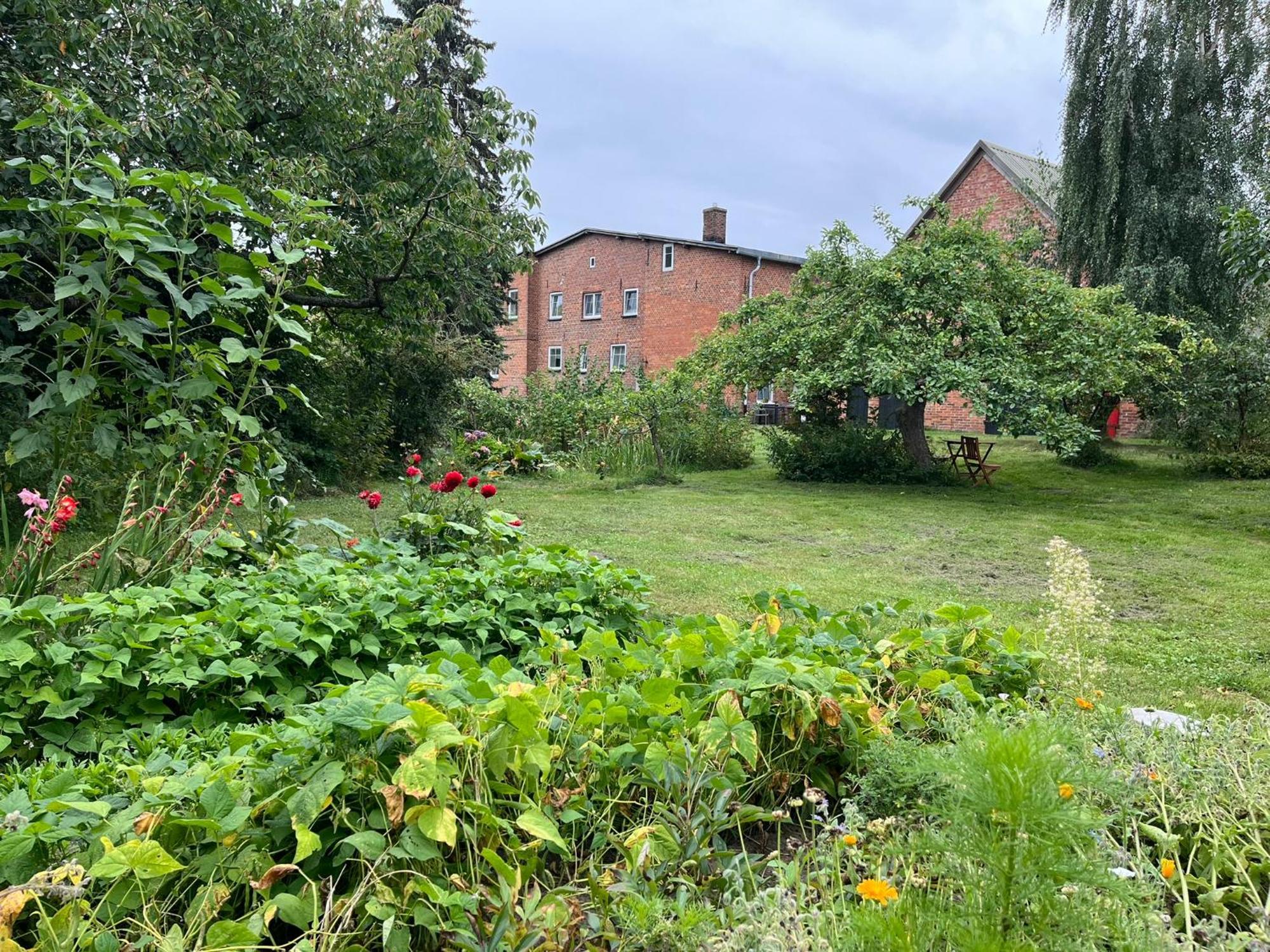 Alte Baeckerei Gnade Auf Ruegen Sehlen Exterior foto