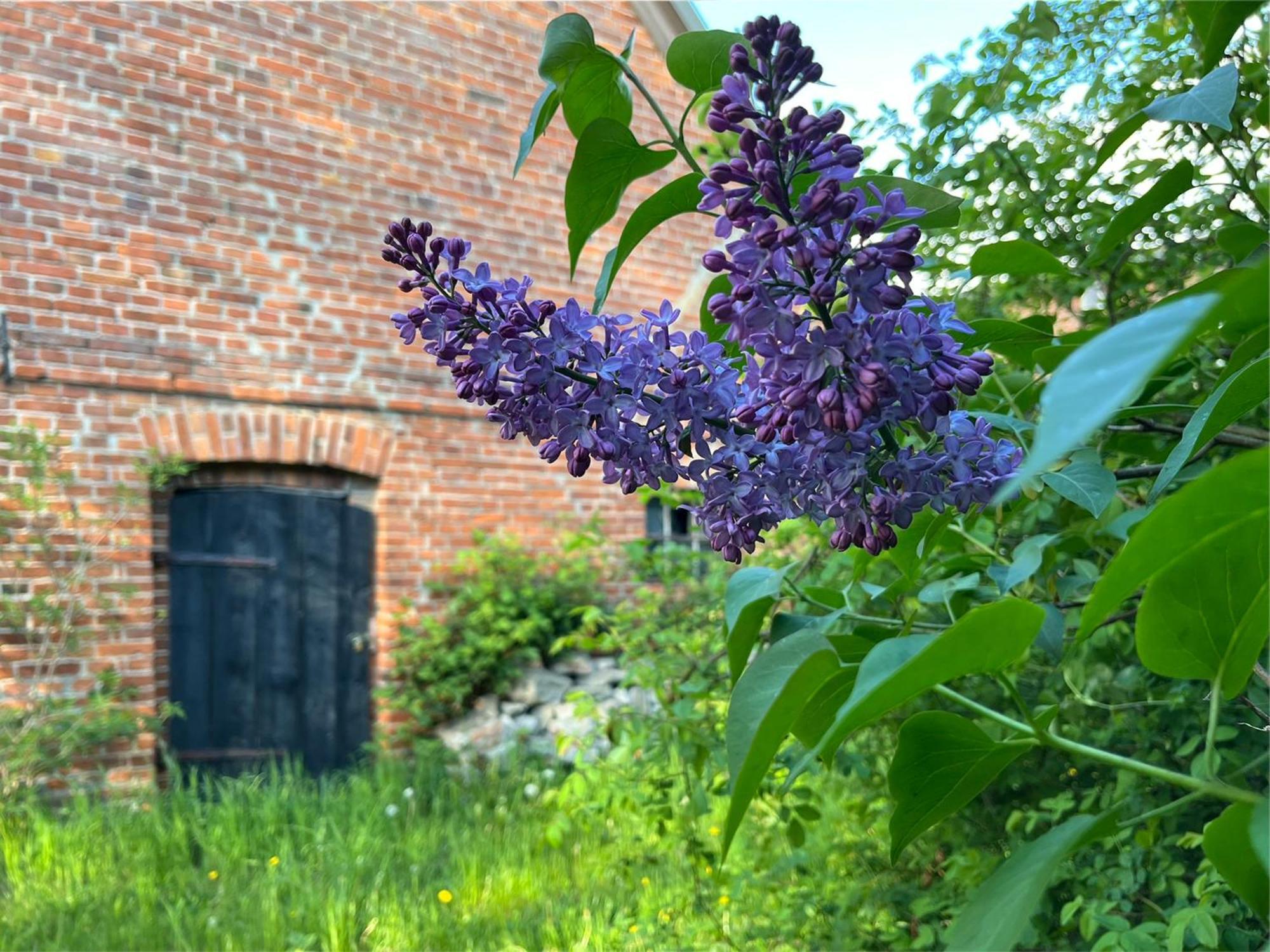 Alte Baeckerei Gnade Auf Ruegen Sehlen Exterior foto